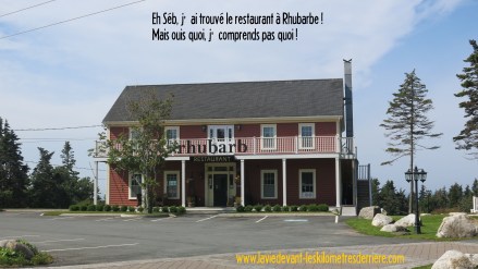 Rhubarbe