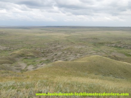 Grass land (10) (1280x960)