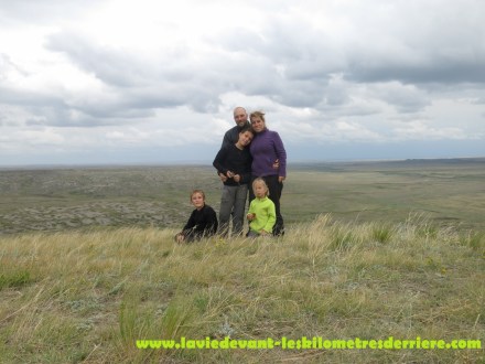 Grass land (12) (1280x960)