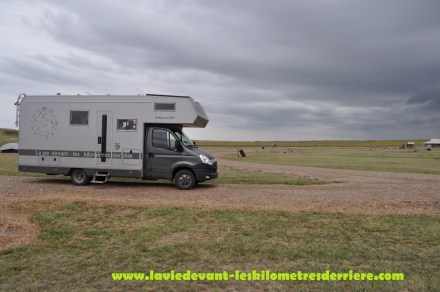 Grass land (14) (1280x850)