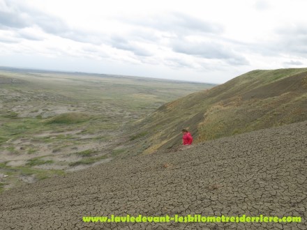 Grass land (15) (1280x960)