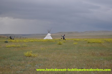 Grass land (16) (1280x850)