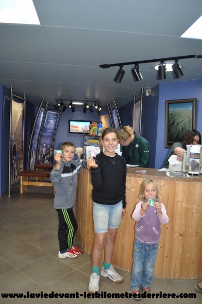 Grass land (21) (850x1280)