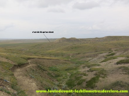 Grass land (5) (1280x960)