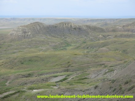 Grass land (8) (1280x960)