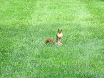 Regina (3) (1024x768)