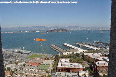 Coit tower 2 (1280x850)