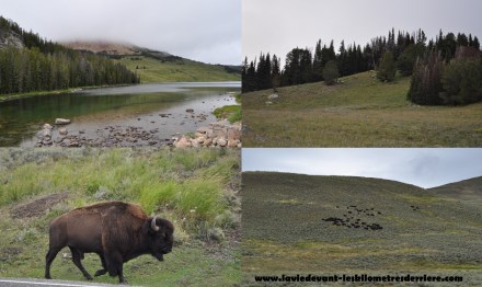 Lamar valley (1280x765)