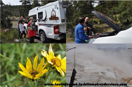 mammoth 2eme2 (1280x850)