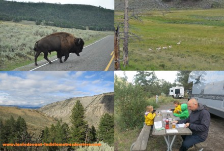 Mammoth hot springs (1280x869)
