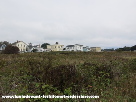 On the road lava - sanfrancisco (129) (1280x960)