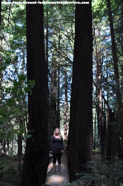 On the road lava - sanfrancisco (54)