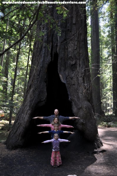 On the road lava - sanfrancisco (65) (850x1280)