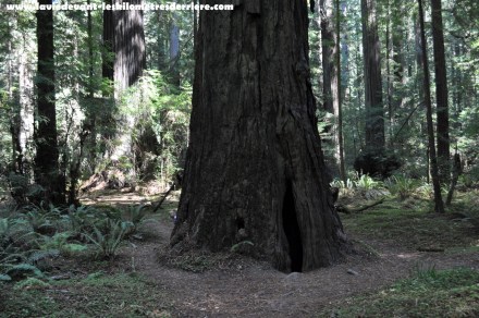 On the road lava - sanfrancisco (74) (1280x850)