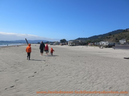 z On the road lava - sanfrancisco (10) (1280x960)