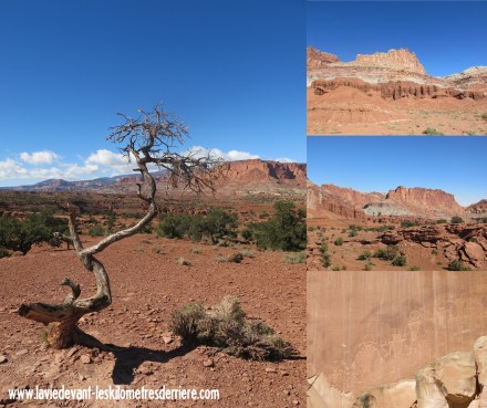 1 capitol (1280x1074)