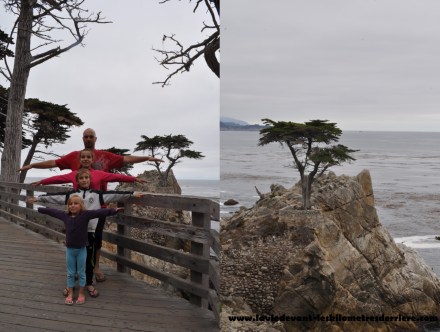 17 mile 4 (1280x967)