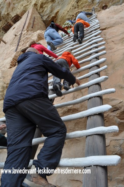 2 echelle (850x1280)