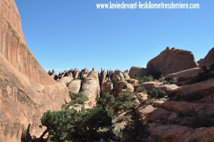 3 Mica (5) (1280x850)