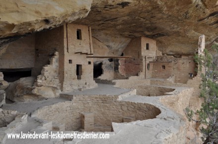 5 general (1280x850)