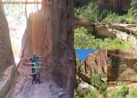 6 Lower p (1280x915)