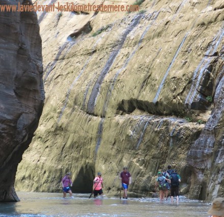 7 Narrows (1280x1245)