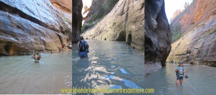 7 Narrows fonds (1280x569)