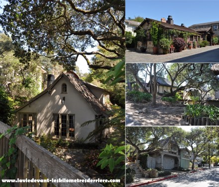 Carmelito (1280x1099)