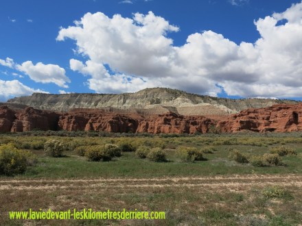 Entree Willis Creek (2) (1280x960)