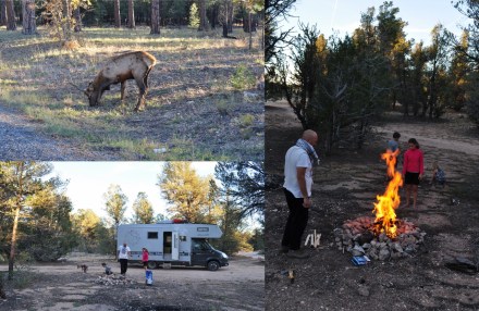 1 Grand Canyon 4 (1280x833)