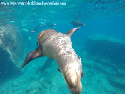 ???????????????????????