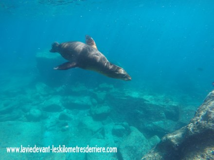 ???????????????????????