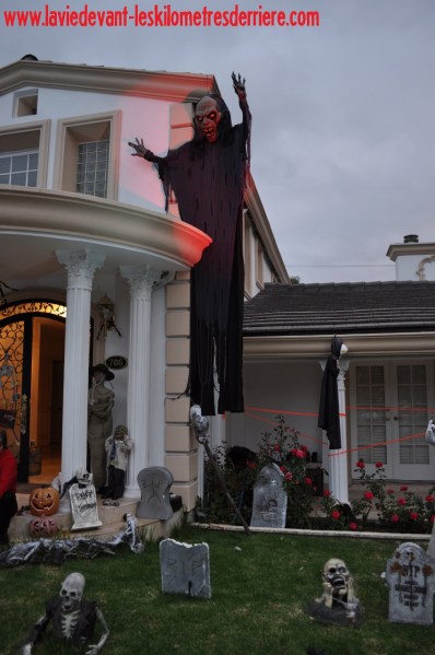 3 déco (2) (850x1280)