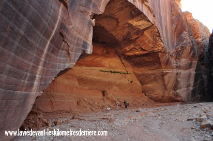 5 buchskin (2) (1280x850)