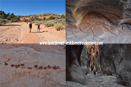 5 buchskin (3) (1280x850)