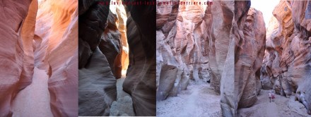 5 buchskin (5) (1280x485)