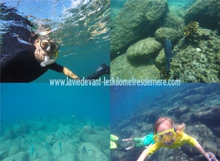 5 snorkeling cabo (1280x934)