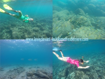 5 snorkeling cabo 2 (1280x960)