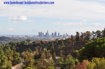 9 Griffith (1280x850)