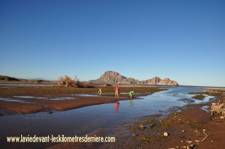 9 Ligui (1) (1280x850)