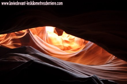 Antelope (128) (1280x850)