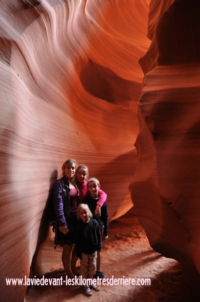 Antelope (173) (850x1280)