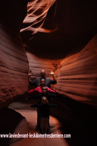 Antelope (187) (850x1280)