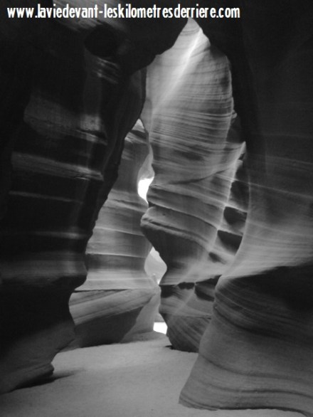 B Antelope smartphone (1280x0000)