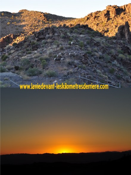 Route 66 2 (960x1280)