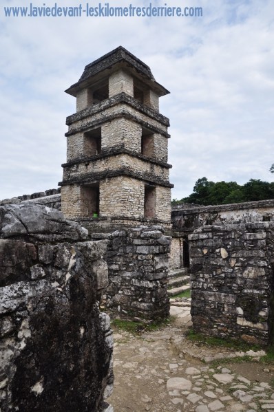 1 Palenque (8) (850x1280)