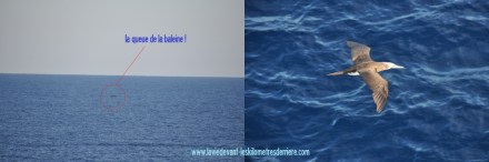 1 Traversée2 (1280x426)