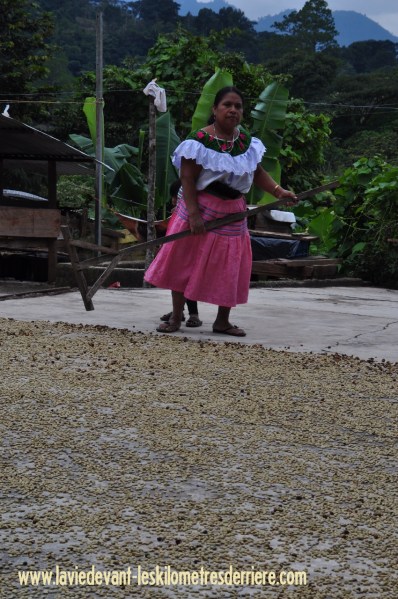 10 Dame Café (850x1280)