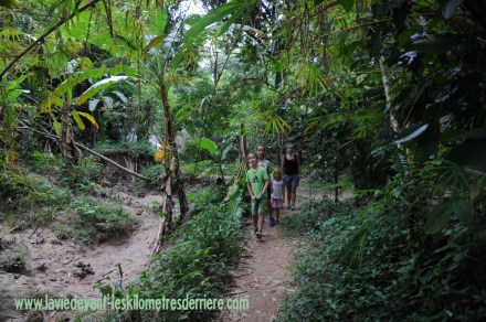 11 Agua azul (14) (1280x850)