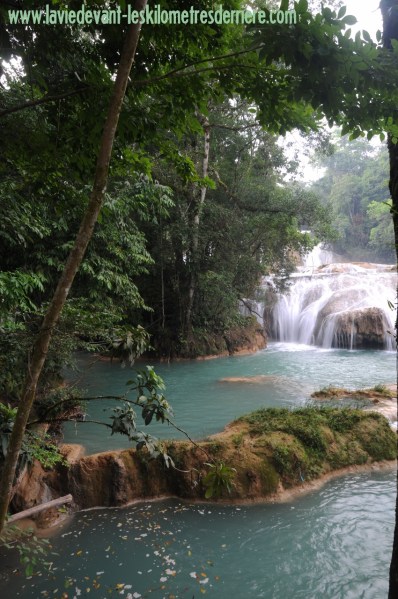 11 Agua azul (18) (850x1280)